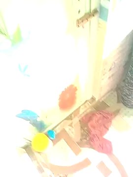 Hooghlypinkivabi online show from January 10, 7:36 am