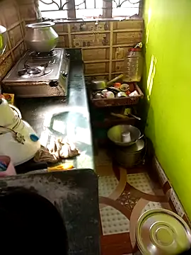 Snapshot of Hooghlypinkivabi chatting on March 1, 4:01 am Hooghlypinkivabi online show from March 1, 4:01 am