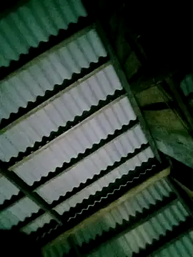 DIANAKUTE online show from April 7, 10:33 pm