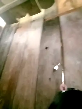 DIANAKUTE online show from March 10, 5:44 am