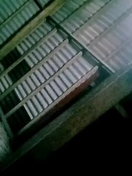 DIANAKUTE online show from February 12, 1:33 pm