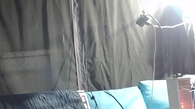 mspatience online show from March 7, 9:16 am