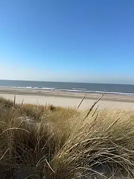 friemeldepiemel online show from March 5, 1:19 pm