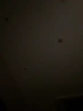 Snapshot of Qidandan778 chatting on March 9, 12:09 pm Qidandan778 online show from March 9, 12:09 pm