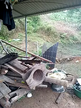 congchua977 online show from March 18, 11:59 pm