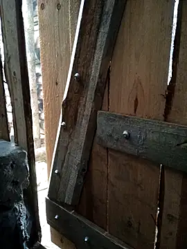 congchua977 online show from March 8, 2:04 am