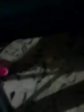 Snapshot of Antras92 chatting on January 12, 1:45 am Antras92 online show from January 12, 1:45 am