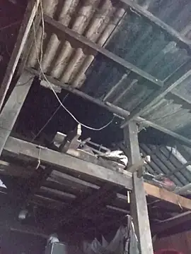 dakota-kis online show from March 30, 11:44 am