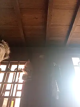 dakota-kis online show from March 21, 1:29 am