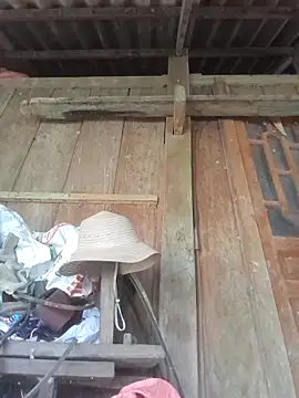 dakota-kis online show from April 11, 7:45 am