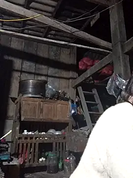 dakota-kis online show from January 17, 12:42 pm