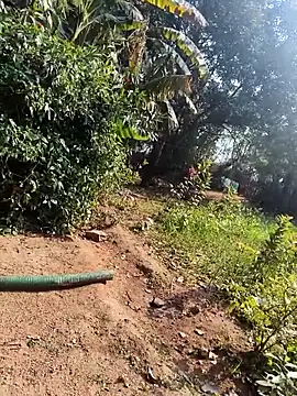 janbi sexe online show from January 14, 5:44 am