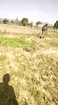 hornycouple20000 online show from April 10, 3:35 am