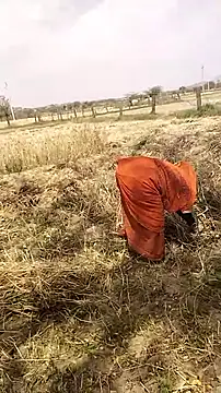 hornycouple20000 online show from March 19, 6:57 am