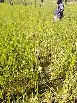 hornycouple20000 online show from January 14, 7:34 am