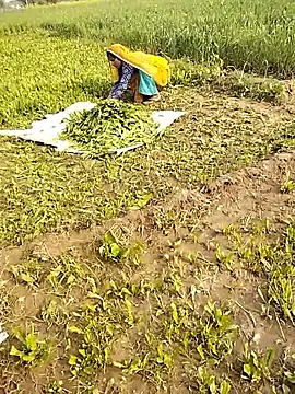 hornycouple20000 online show from January 10, 5:03 am