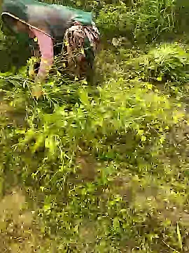 hornycouple20000 online show from January 8, 5:46 am