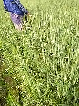 hornycouple20000 online show from February 1, 6:44 am