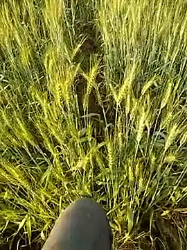 hornycouple20000 online show from February 21, 11:56 am