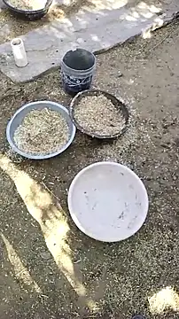 hornycouple20000 online show from April 9, 3:41 am