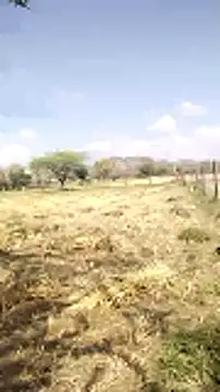 hornycouple20000 online show from March 20, 5:08 am