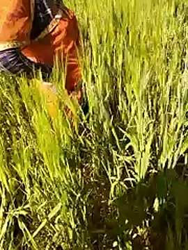 hornycouple20000 online show from January 15, 7:12 am