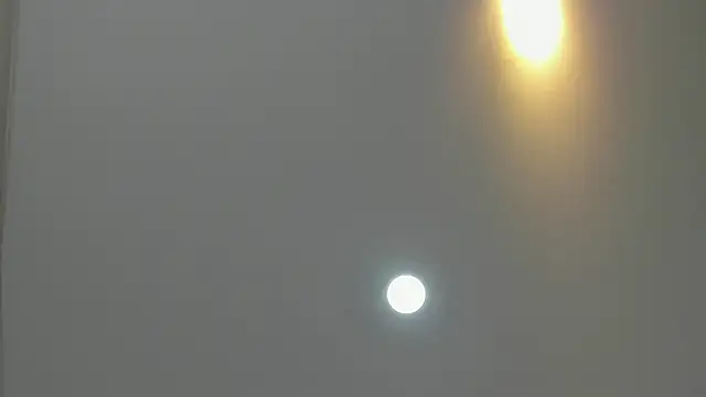 asher lux online show from March 9, 8:23 pm