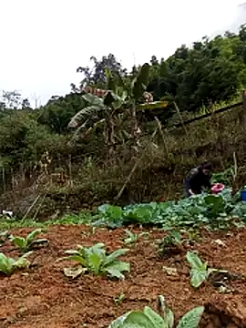 Hiniyk2 online show from February 13, 1:38 am