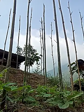 Hiniyk2 online show from March 24, 2:11 am