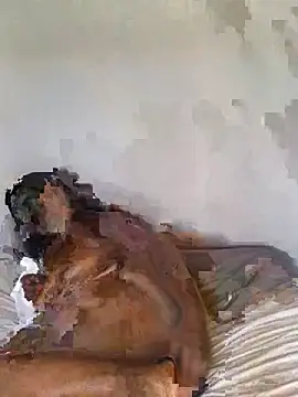 babepear online show from February 25, 6:35 am