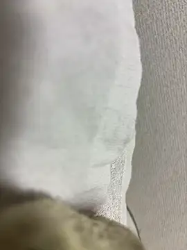 maonyan6 online show from February 13, 9:31 am