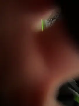 ZJbaby online show from March 11, 1:05 pm