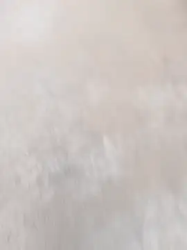 daksh  8 inche online show from April 7, 1:51 am