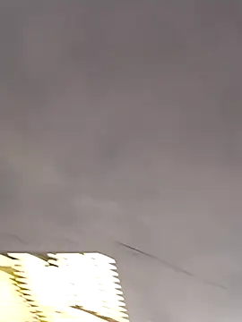 daksh  8 inche online show from March 23, 8:03 am