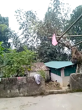 muamua99 online show from January 17, 12:15 am