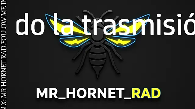 s hornet online show from April 8, 2:40 pm