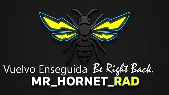 Snapshot of s_hornet chatting on May 4, 1:14 pm s hornet online show from May 4, 1:14 pm