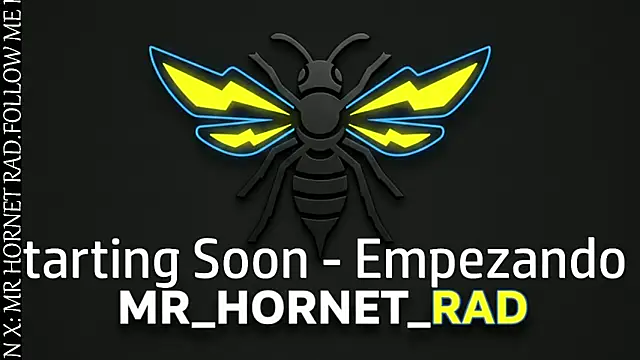 Snapshot of s_hornet chatting on May 18, 11:20 pm s hornet online show from May 18, 11:20 pm