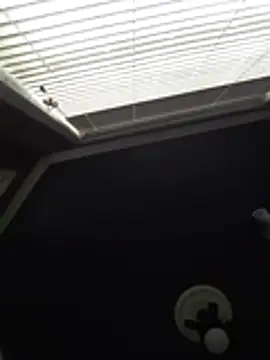 Derrick7799 online show from February 21, 8:22 pm