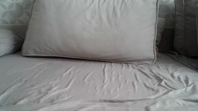 apollo81 online show from February 18, 9:50 am