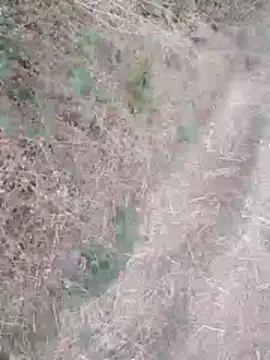 sexyboy 917 online show from March 30, 1:18 am