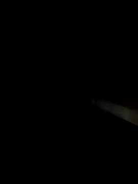 Dariralf online show from February 17, 12:19 am