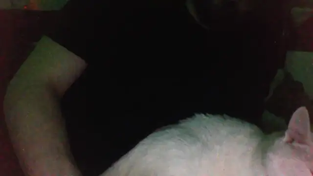 KaelNox online show from March 31, 11:40 pm