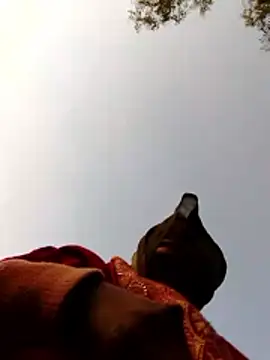 Jyoti sekh online show from February 10, 2:10 am