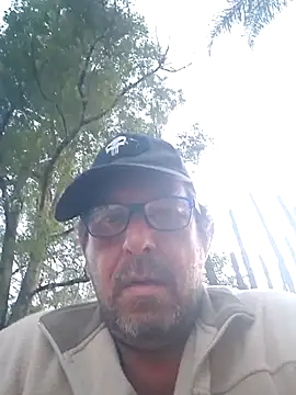 palmview2 online show from May 25, 3:11 pm