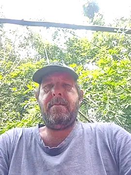 palmview2 online show from June 3, 9:54 am