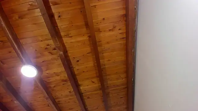 Im FelixHunter online show from April 14, 11:26 am