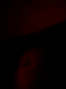 doidopradar online show from February 3, 3:48 am