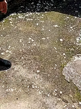 GanaderoMorboso online show from February 15, 11:09 am