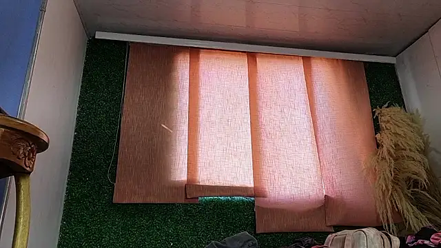 Alice randyy online show from February 14, 1:00 pm